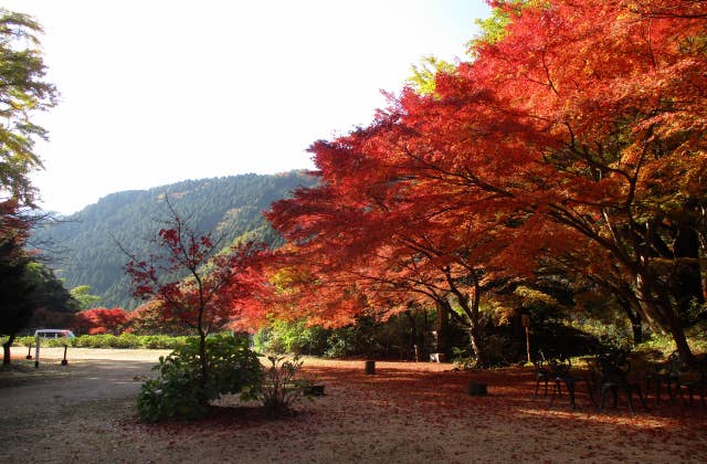 清徳寺