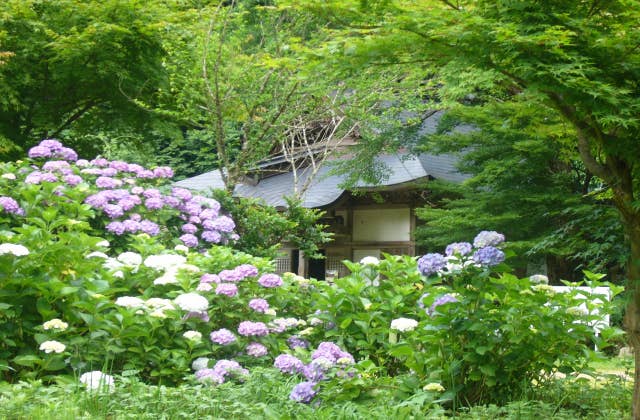 清徳寺