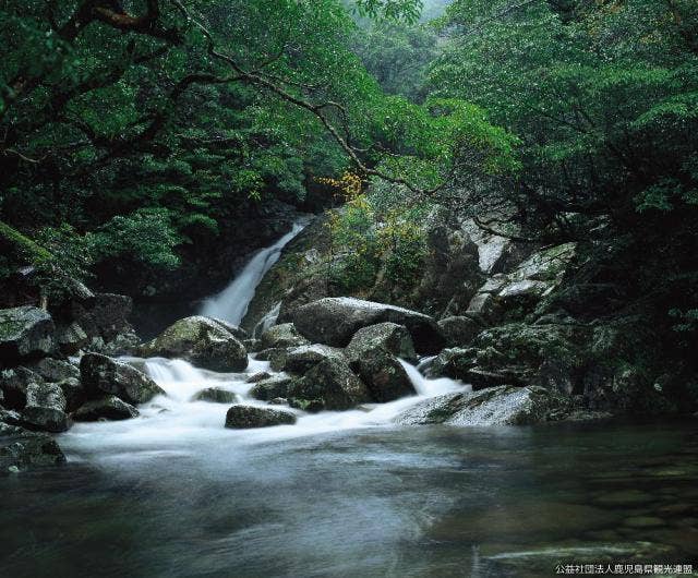 白谷雲水峡瀬切川上流