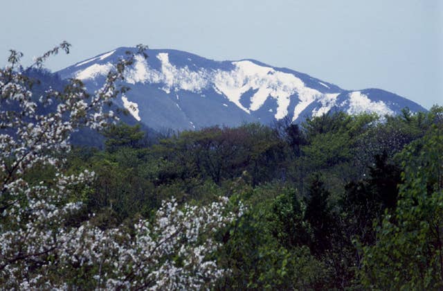 大白森山