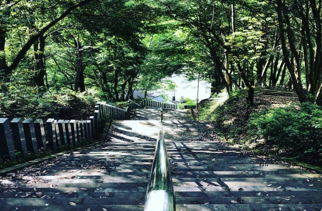 日本一の石段　初夏