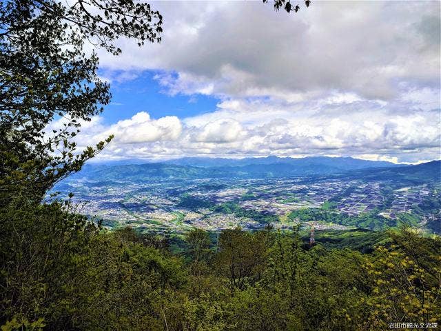 山頂からの眺望