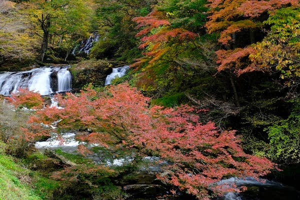 紅葉を迎える江竜田の滝