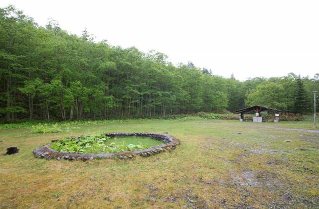 トムラウシ野営場