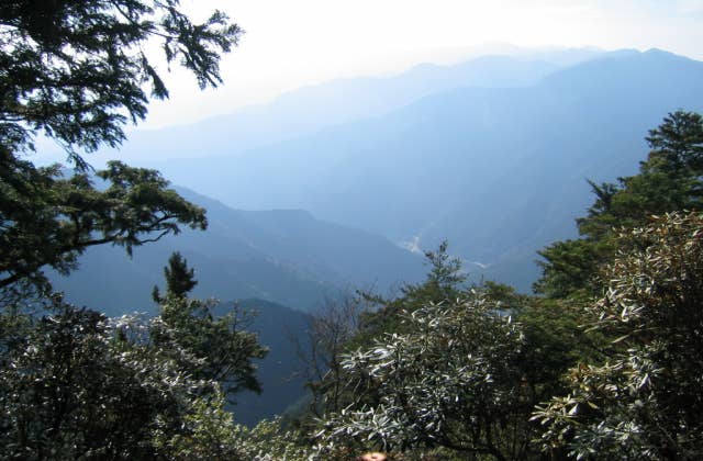 白屋岳山頂付近から見える景色