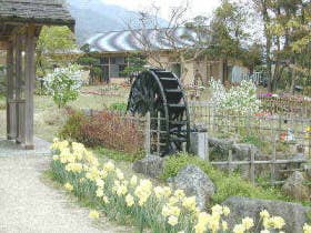 福智山ろく花公園