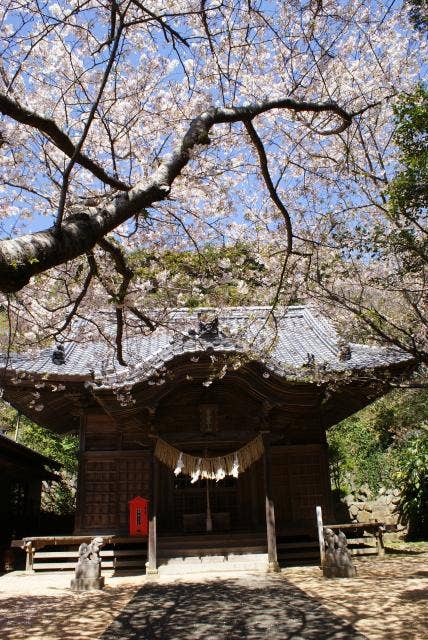 白山神社