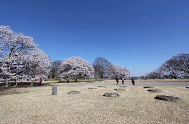 下野国分尼寺跡