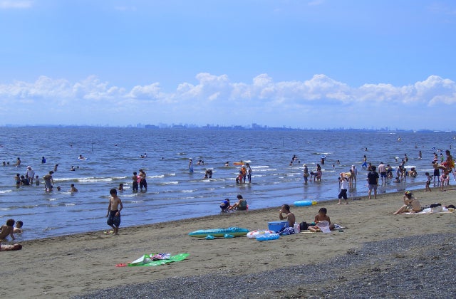 iFLYER: 海に伸びる！海の上で寛ぐ！絶景なのに…無料で利用