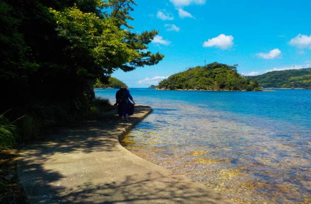 島津島の遊歩道