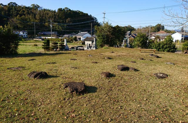 日向国分寺跡