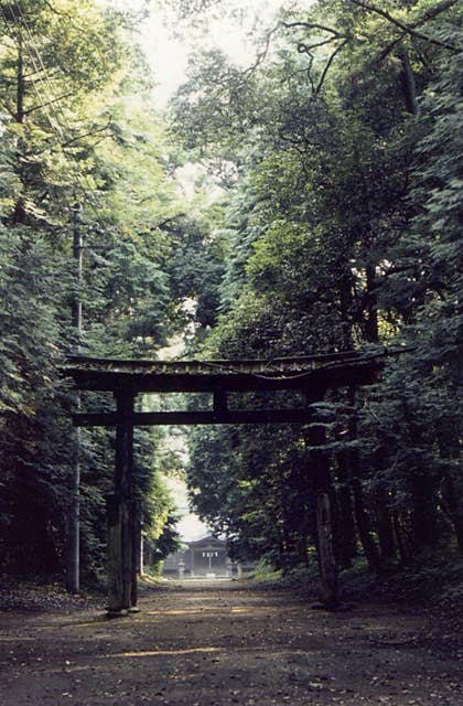 楯縫神社