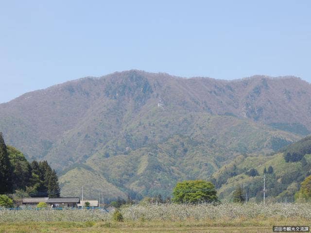 山容