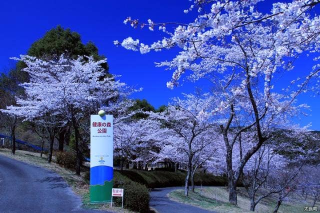 多良岳健康の森公園