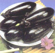 Tanabe eggplant