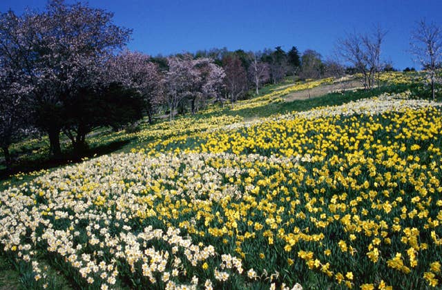 玉川公園