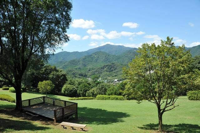 県立七沢森林公園