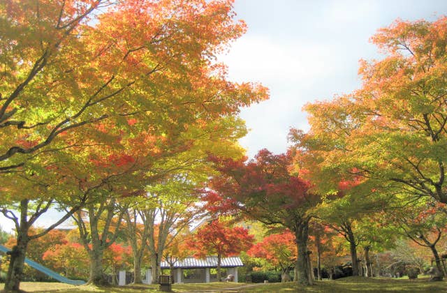 園部公園