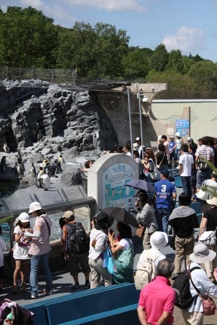 旭川市旭山動物園