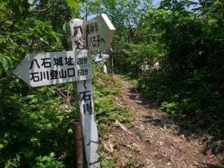 長岡市側からの登山コースと合流します。