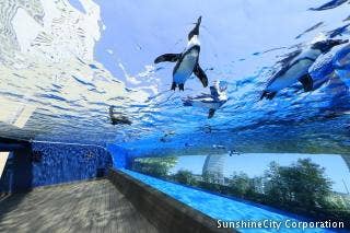 sunshinecity_aquarium