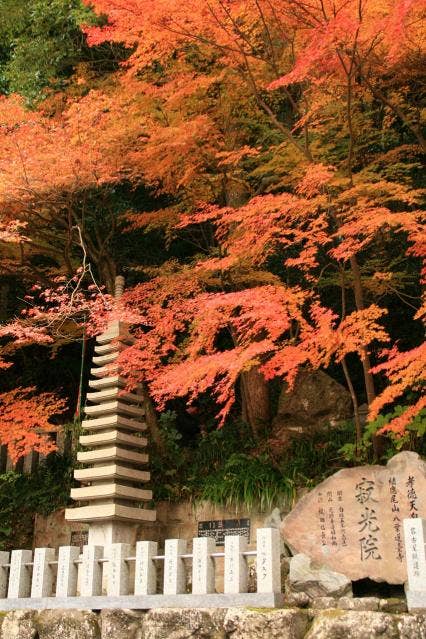 寂光院（紅葉）