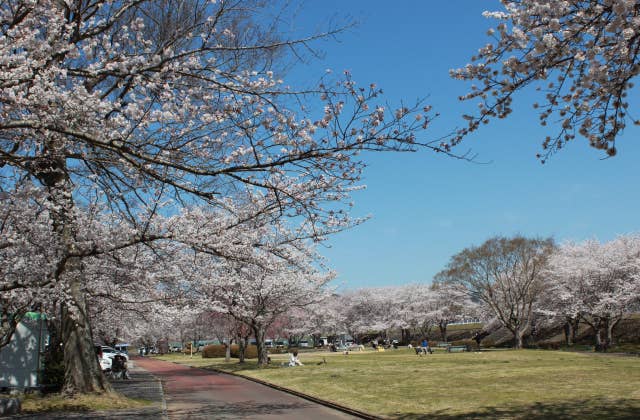 大堰緑地公園