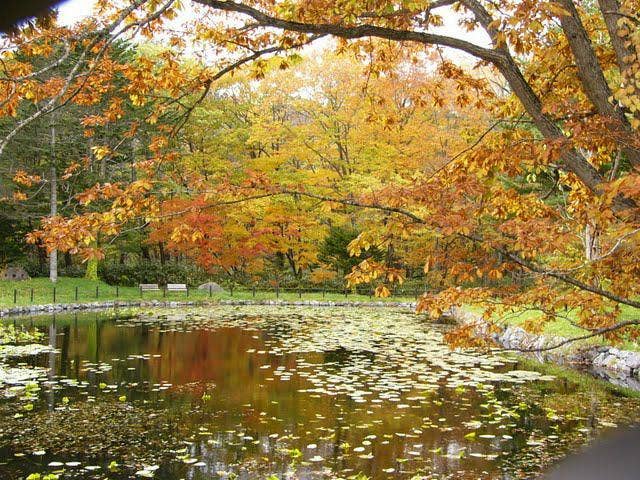 野田生公園（秋）