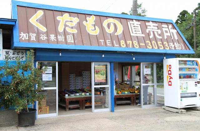 加賀谷果樹園 / 秋田県 -【JAPAN 47 GO】