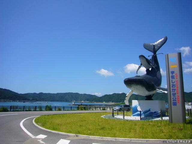 しおかぜ公園昼