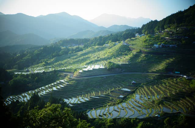 丸山千枚田