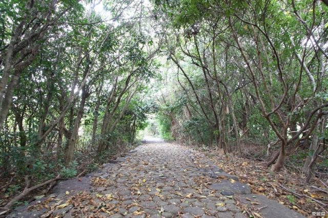 須ノ川公園