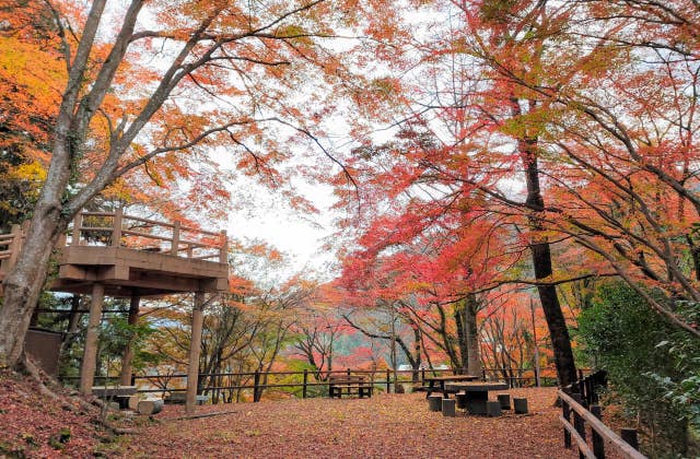 笹戸公園