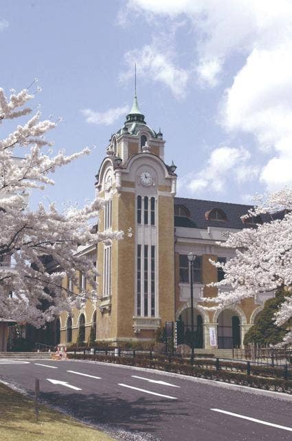 郡山公会堂の桜