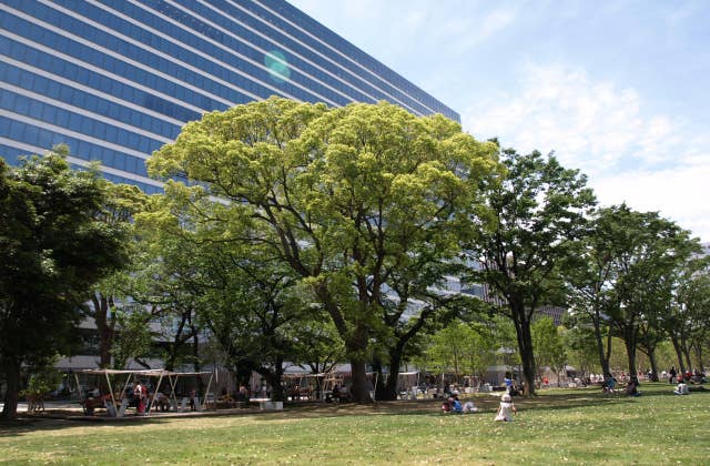 中野四季の森公園