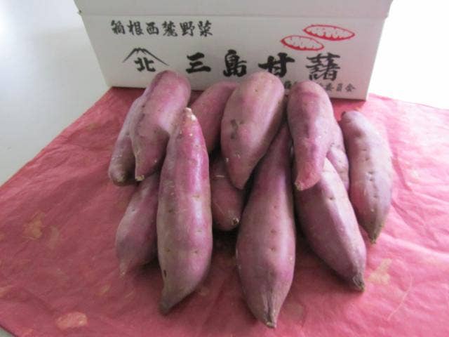 箱根西麓三島野菜（三島甘藷)