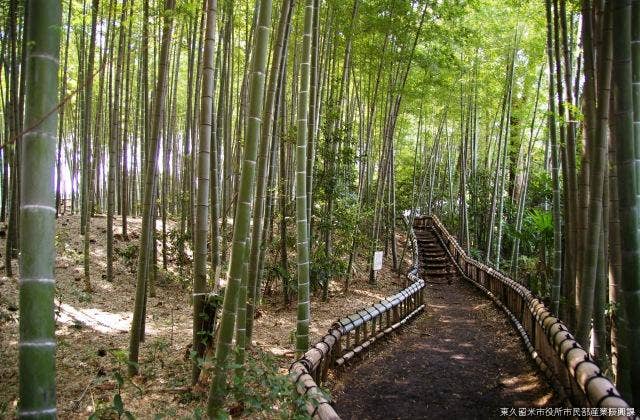 竹林公園