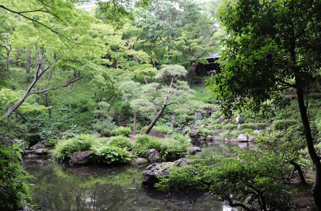 殿ケ谷戸庭園