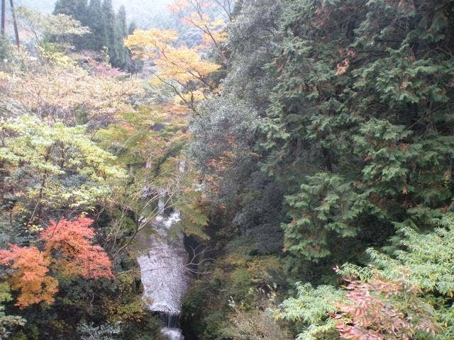 平谷の紅葉