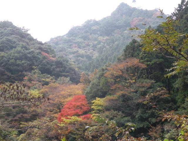 平谷の紅葉