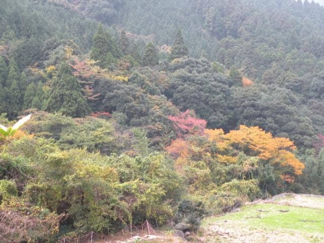 平谷の紅葉