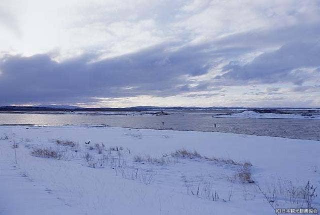 Poro marsh