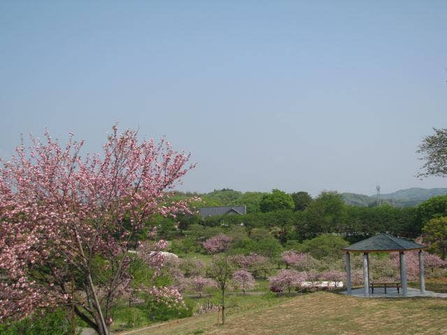 高台からの眺望