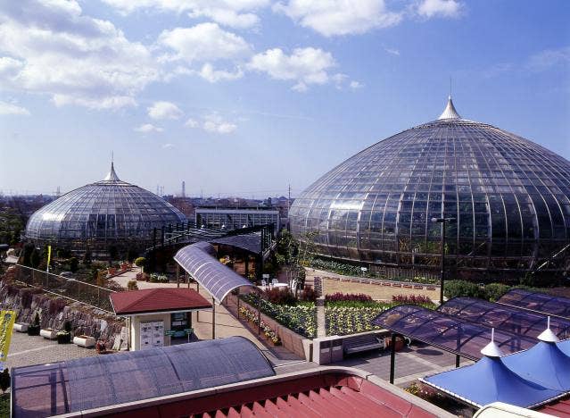 手柄山温室植物園