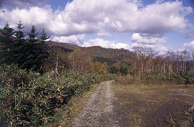 小川高原