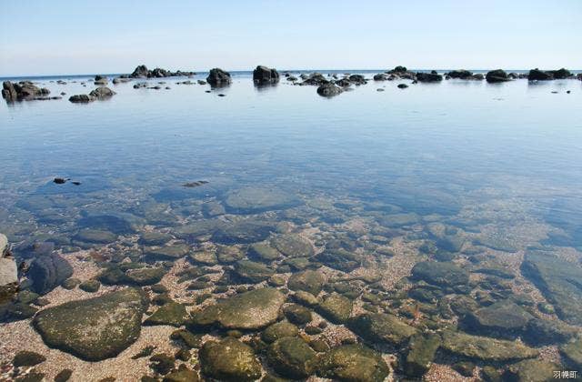 白浜海岸