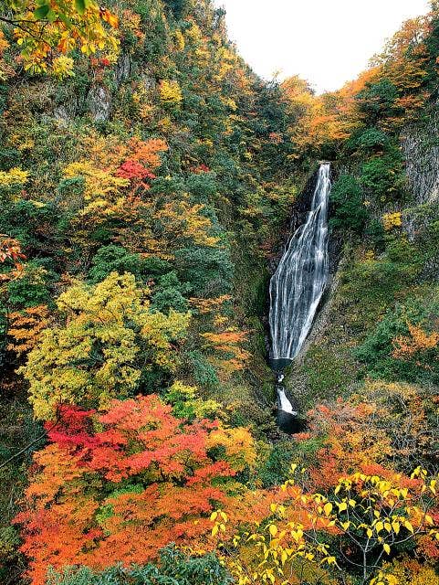 鱒返しの滝