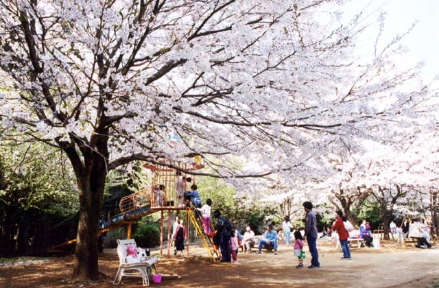 森林公園