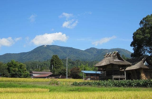 白鷹山