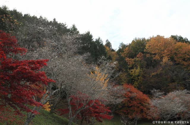 小原ふれあい公園